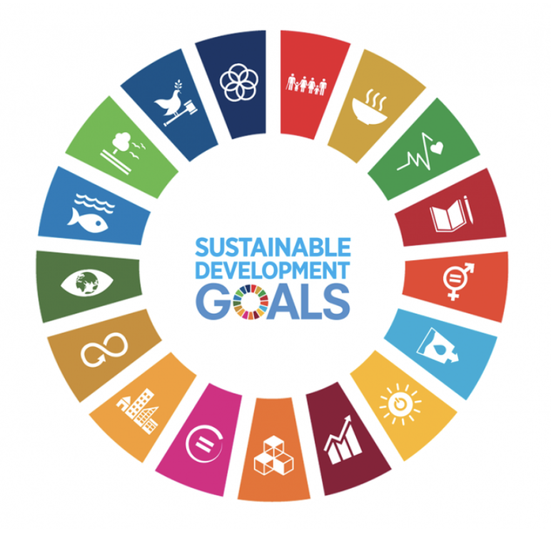 SDG5 Network